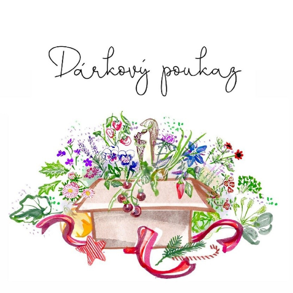Voucher k Vánocům v hodnotě 1500,- Kč