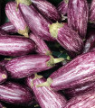 Jajčevec Jewel Marble - Solanum melongena - semena jajčevca - 10 kosov - zaključeno