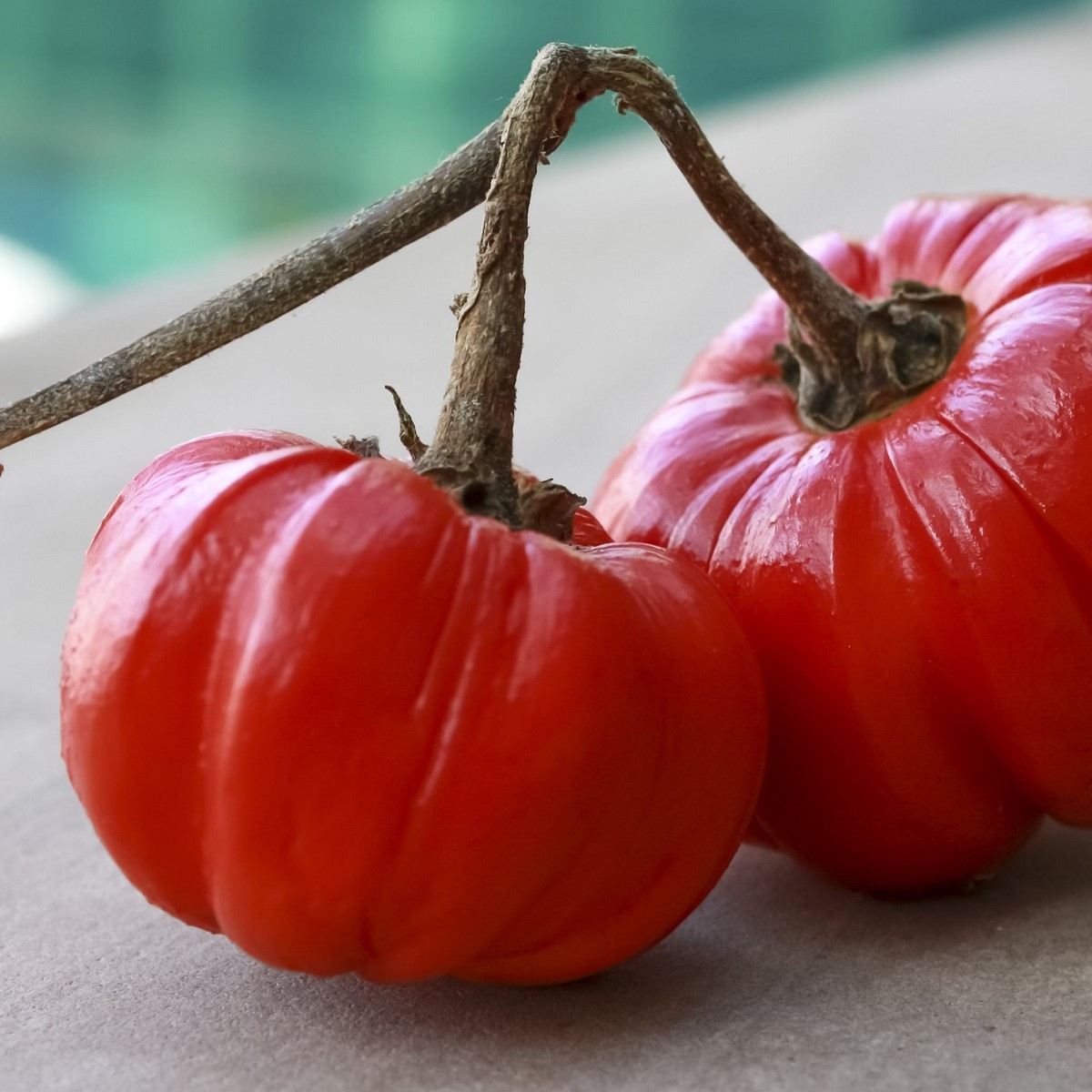 Lilek okrasný Goyo - Solanum melongena - semena lilku - 10 ks