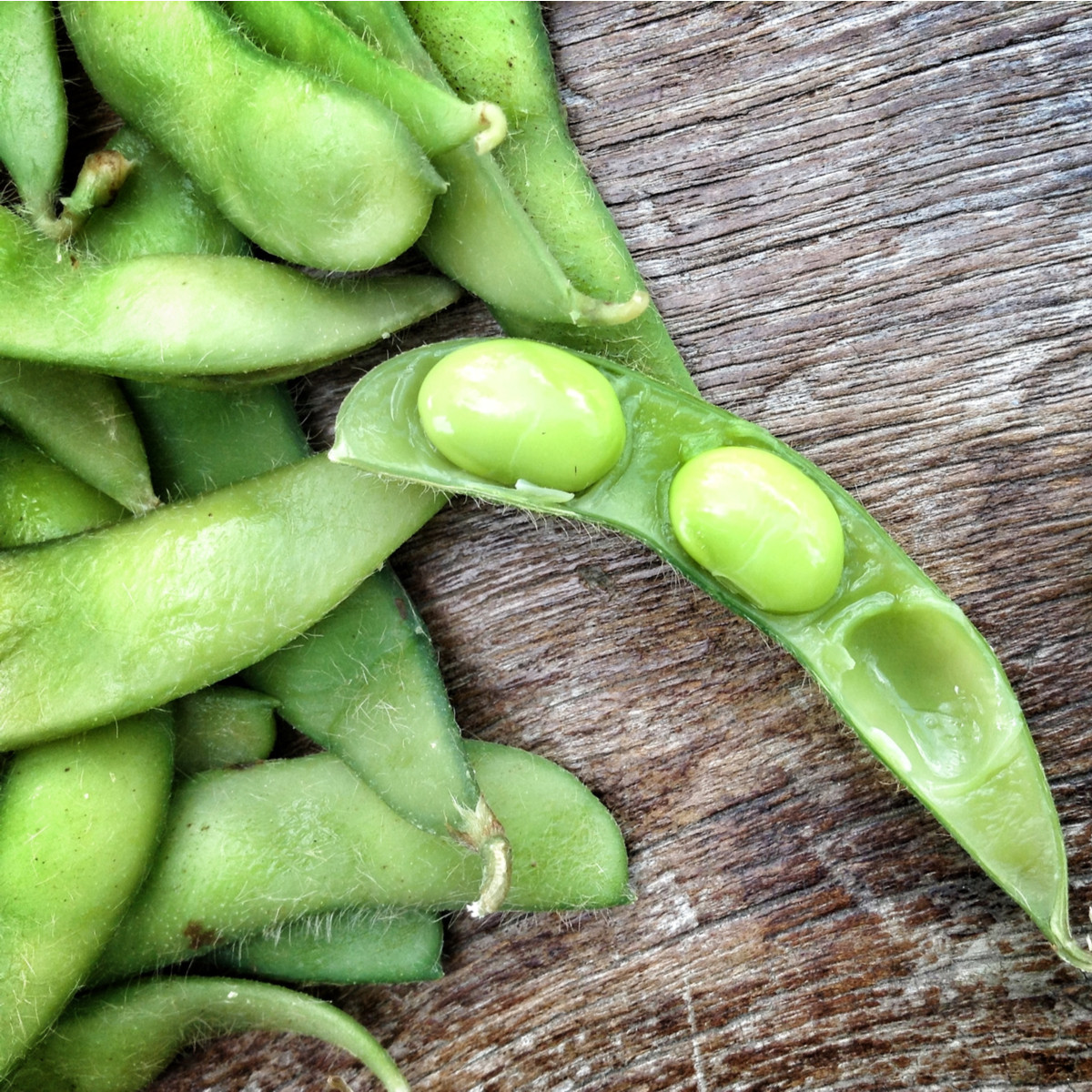 BIO Sója luštinatá Hokkai Green - Glycine max - bio semena sóji - 20 ks