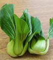 Pak Choi Shanghai - Brassica rapa chinensis - semena pak choi - 200 kos