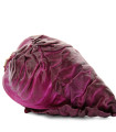 BIO Rdeče zelje Kalibos - Brassica oleracea capitata - bio semena zelja - 30 kos