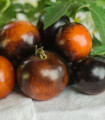 BIO Paradižnik Brown Berry - Solanum lycopersicum - bio semena paradižnika - 7 kosov