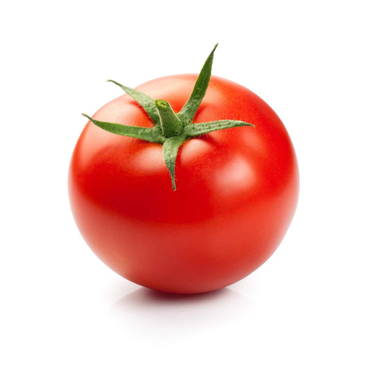 BIO Rajče Primabella PhR - Solanum lycopersicum - bio semena rajčete - 8 ks