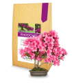 Rhodovit - mikoriza za bonsaje - 100 g - zaključeno