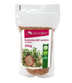 BIO Redkev - Raphanus sativus - bio semena za kaljenje - 200 g