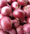 Rdeča spomladanska čebula Karmen - Allium cepa - semena čebule - 200 kos