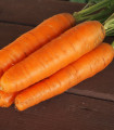 Korenje Karotina - Daucus carota - semena korenja - 900 kos