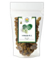 Moruše bílá - Morus alba - plod - 100 g