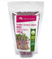 BIO Ředkev čínská růžová - Raphanus sativus - bio semena na klíčení - 200 g