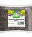 Ozimna ogrščica - semena - 200 g