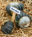 Buča Bon Bon F1 - Cucurbita maxima - semena buče - 5 kosov