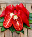 Paprika Snacking Red F1 - Capsicum annuum - semena paprike - 5 kosov