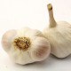 Semen česen Japo II - Allium sativum - nepaličar - čebula česna - 1 pakiranje