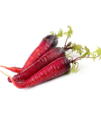 BIO Mrkev raná Rouge Sang - Daucus carota - bio semena mrkve - 200 ks