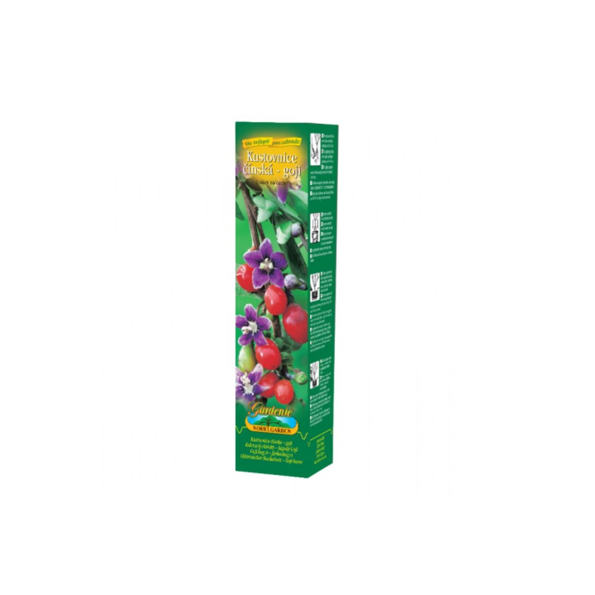 Kustovnice goji červená - sazenice goji - 1 ks