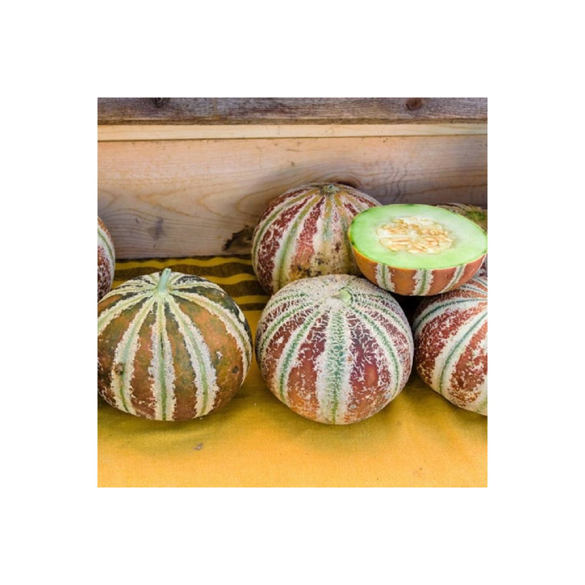 Meloun cukrový Kajari - Cucumis melo - semena melounu - 6 ks