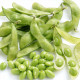 BIO soja Green Shell – Glycine max – ekološka sojina semena – 20 kosov