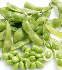 BIO soja Green Shell – Glycine max – ekološka sojina semena – 20 kosov