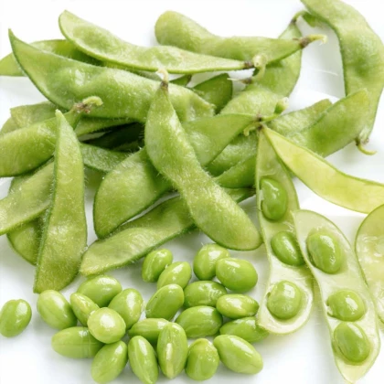 BIO soja Green Shell – Glycine max – ekološka sojina semena – 20 kosov