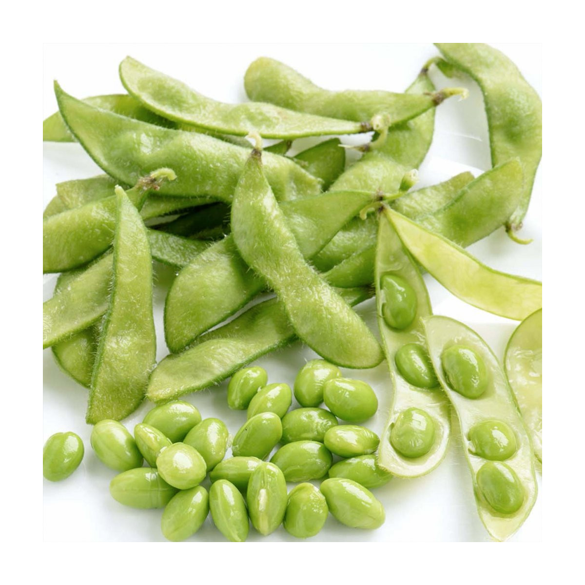 BIO soja Green Shell – Glycine max – ekološka sojina semena – 20 kosov