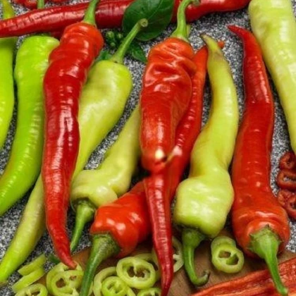 Paprika Ohnivec - Capsicum annuum - semena papriky - 20 ks