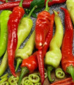 Paprika Ohnivec – Capsicum annuum – semena paprike – 20 kosov