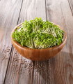 BIO rukola – ekološka semena za kalitev – 50 g