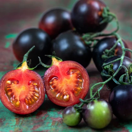 Rajče tyčkové černé Blackball - Solanum lycopersicum - semena rajčete - 20 ks