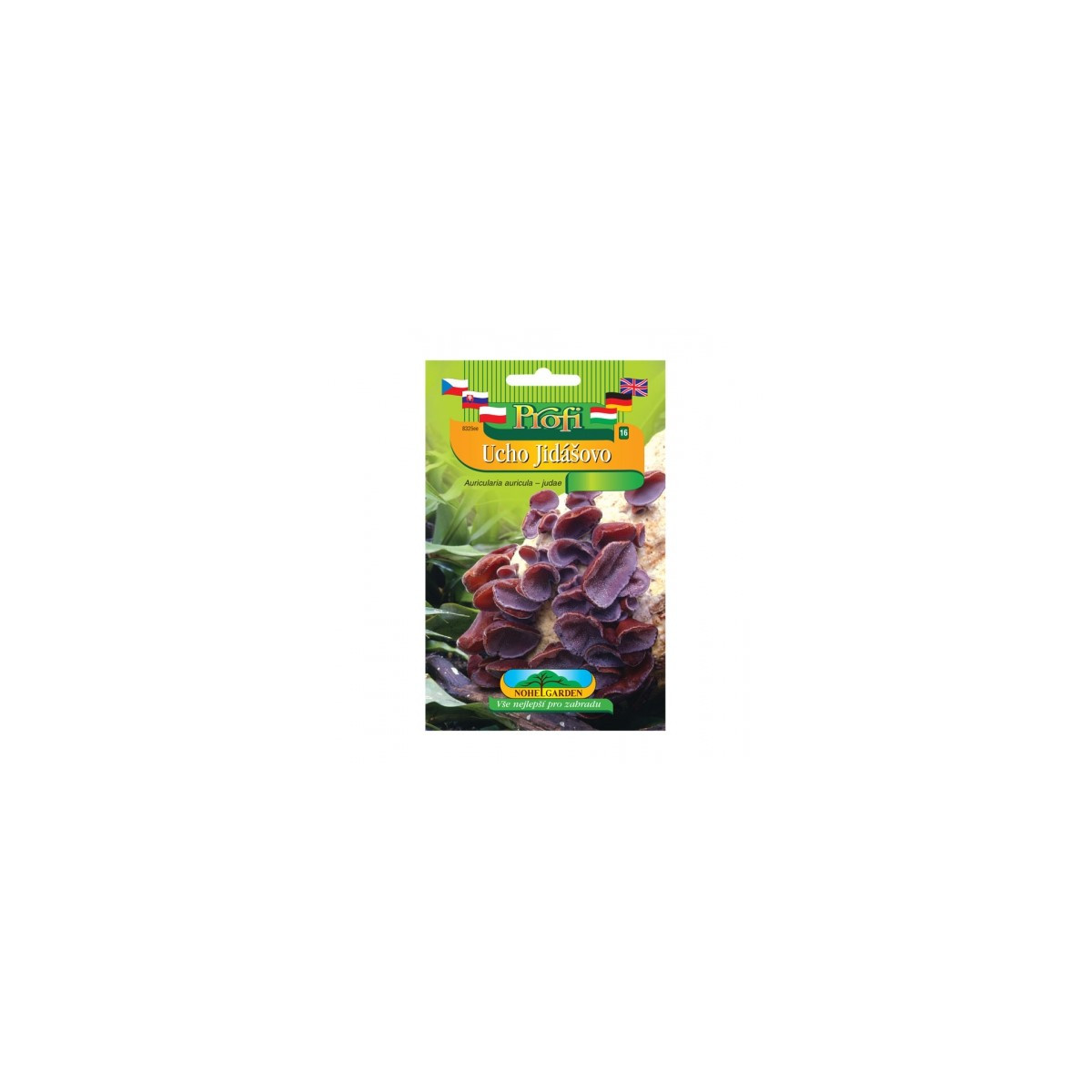 Sadba Ucho Jidášovo - Auricularia auricula-judae - sadba - 1 ks