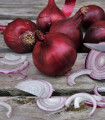 Čebulna sadika Romy – Allium cepa – čebulice – 250 g