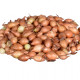 Cibule sazečka žlutá Hercules - Allium cepa - cibulky - 500 g