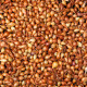 Cibule sazečka Všetana - Allium cepa - cibulky - 500 g