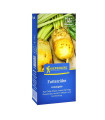 Zeleno gnojenje – krmna pesa Eckdogelb – semena – 60 g