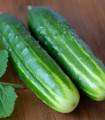 Solata Marketmore – Cucumis sativus – semena kumare – 10 kosov