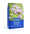Zeleno gnojenje – svazanka – semena – 400 g