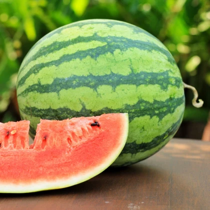 Meloun vodní Nanoor F1 - Citrullus lanatus - semena melounu - 6 ks