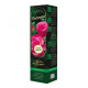 Růže velkokvětá keřová - Fragrant Criterion - Rosa - prostokořenné sazenice růže - 1 ks