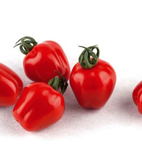 Rajče tyčkové Appleberry F1 PhR červené - Solanum lycopersicum - semena rajčete - 7 ks
