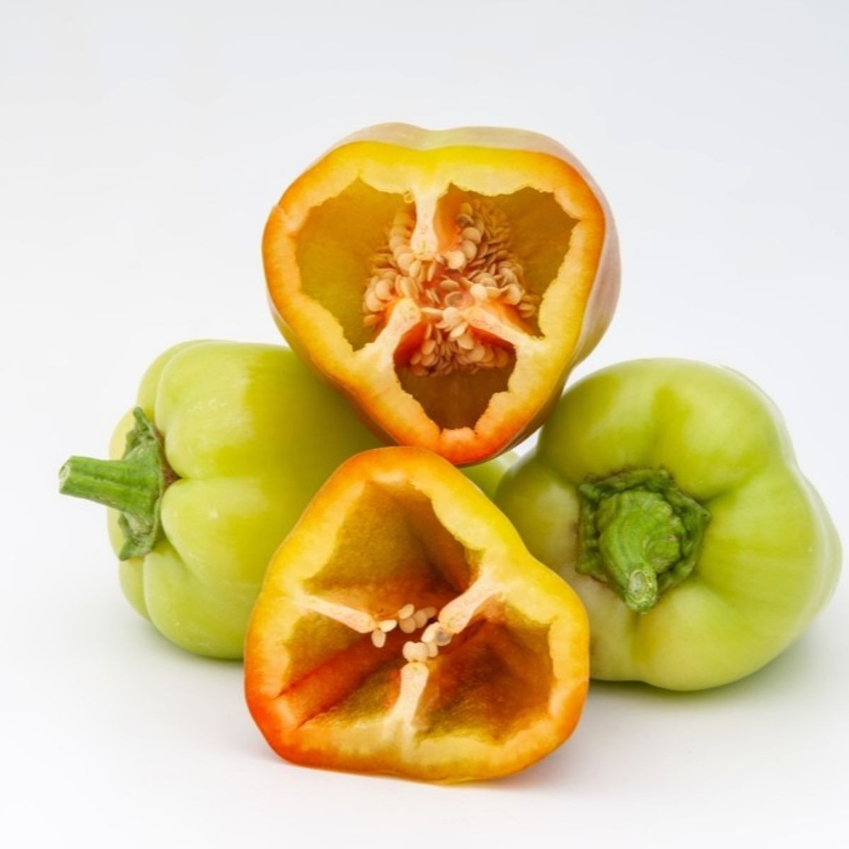 Paprika Amy - Capsicum annuum - semena papriky - 50 ks