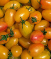 BIO paradižnik na palico Artisan Blush Tiger – Solanum lycopersicum – ekološka semena paradižnika – 6 kosov