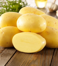 BIO sadbové brambory Agria - Solanum tuberosum - bio brambory - 10 ks