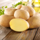Sadbové brambory Gunda - Solanum tuberosum - brambory - 10 ks