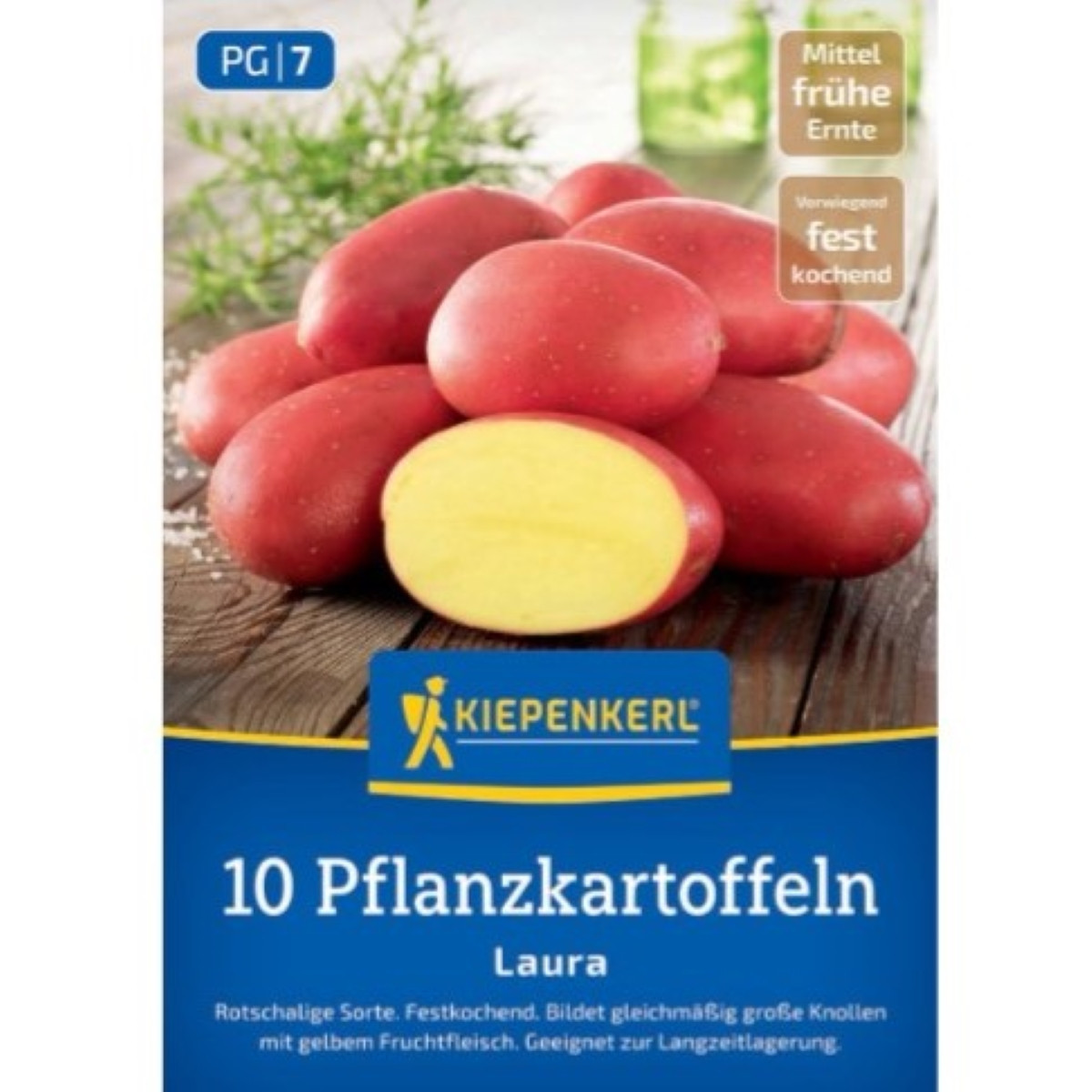 Sadbové brambory Laura - Solanum tuberosum - 10 ks