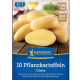 Sadbové brambory Cilena - Solanum tuberosum - brambory - 10 ks