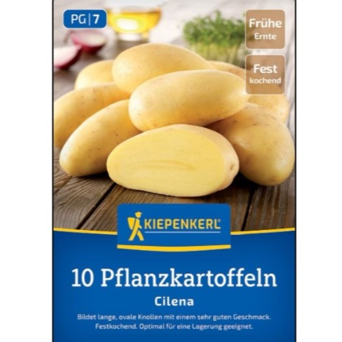 Sadbové brambory Cilena - Solanum tuberosum - brambory - 10 ks
