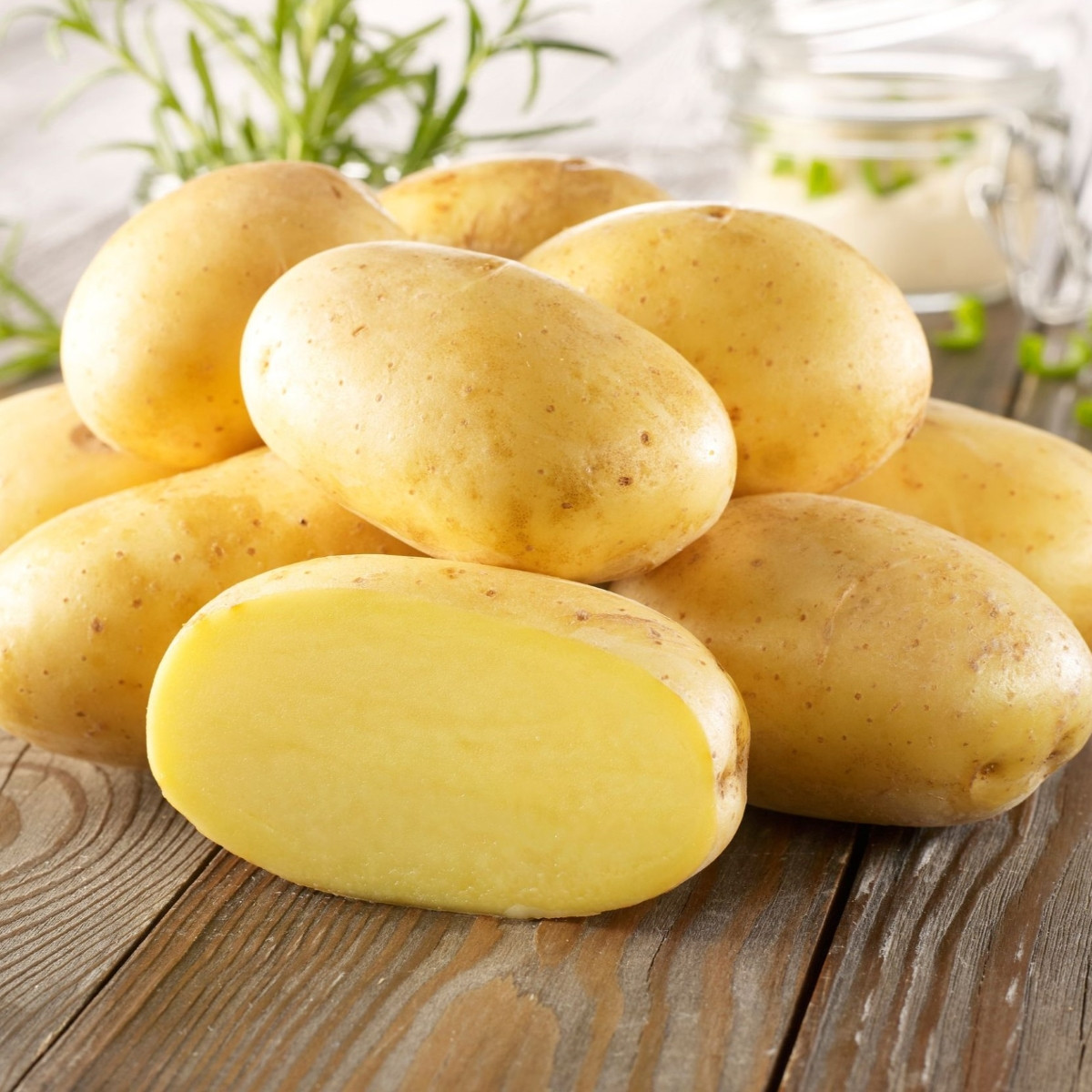 Sadbové brambory Bernina - Solanum tuberosum - brambory - 10 ks