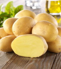 Sadbové brambory Linda - Solanum tuberosum - brambory - 10 ks