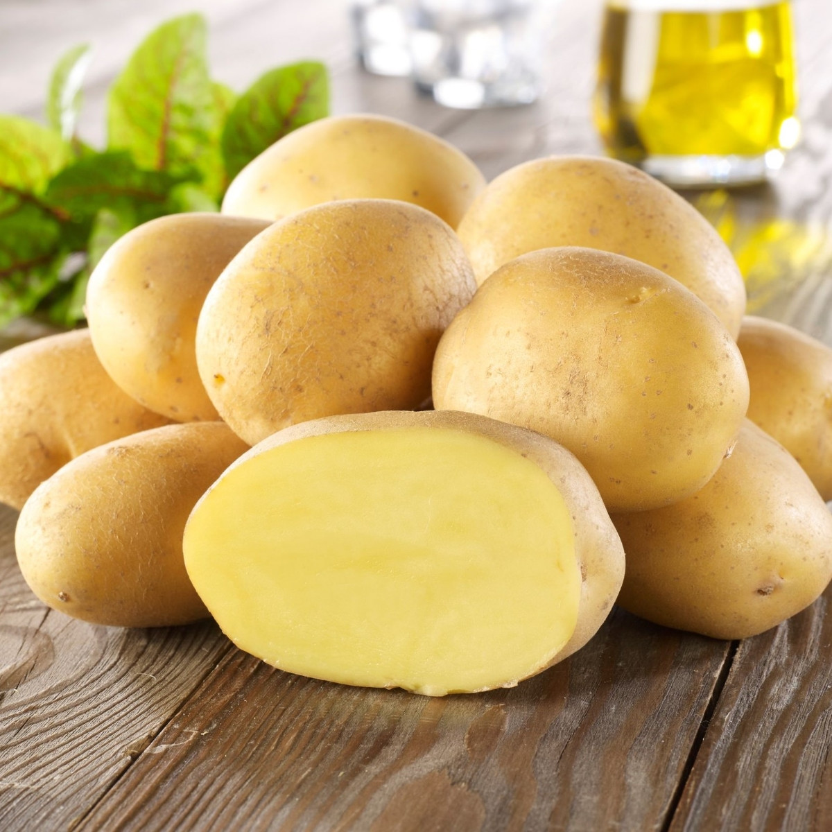 Sadbové brambory Linda - Solanum tuberosum - brambory - 10 ks
