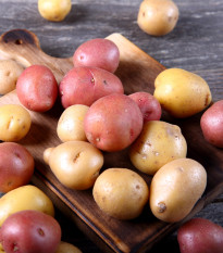 BIO sadbové brambory - 4 druhy - rozmanitost - Solanum tuberosum - bio brambory - 12 ks